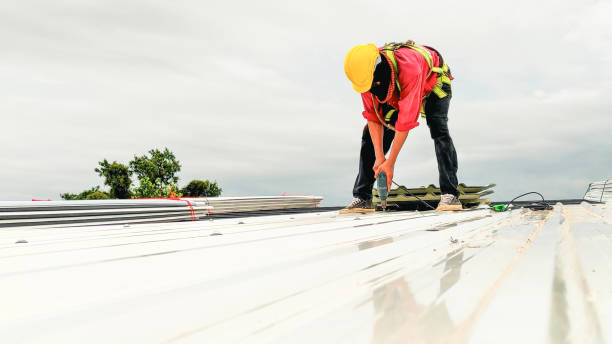 Best Cold Roofs  in Woodland Park, CO