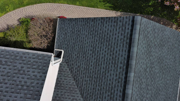 Best Steel Roofing  in Woodland Park, CO